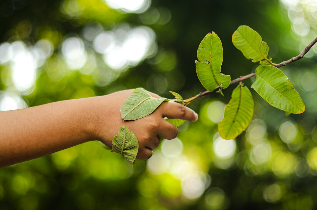environmental protection